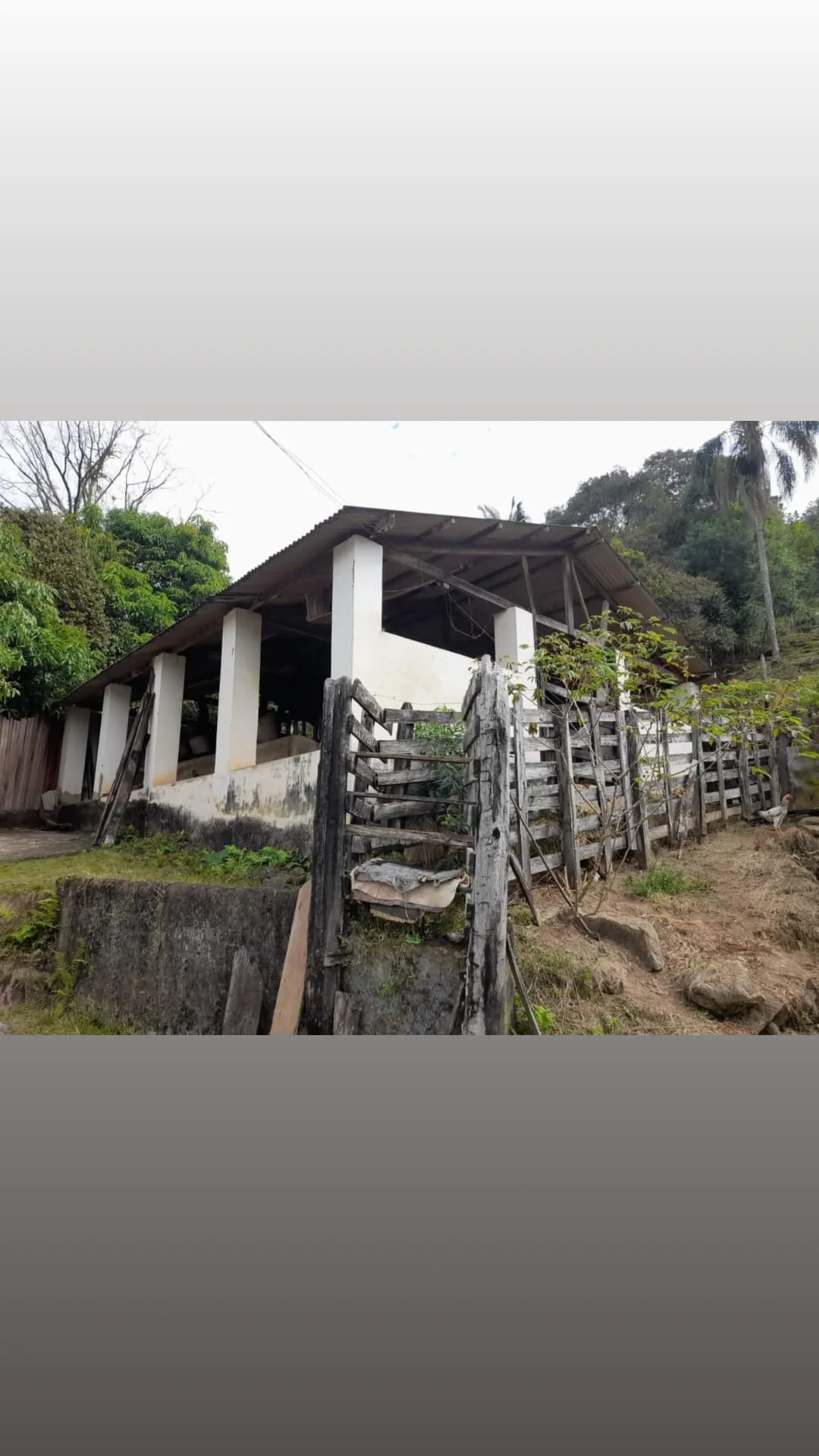 inbound1055442253358832080