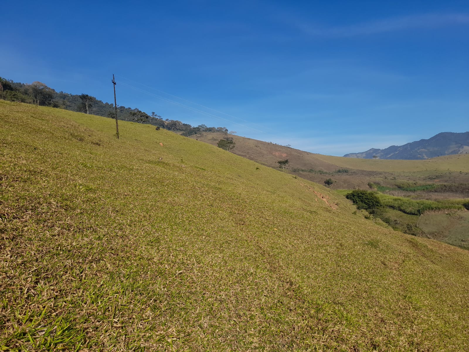 inbound1772357108317621158