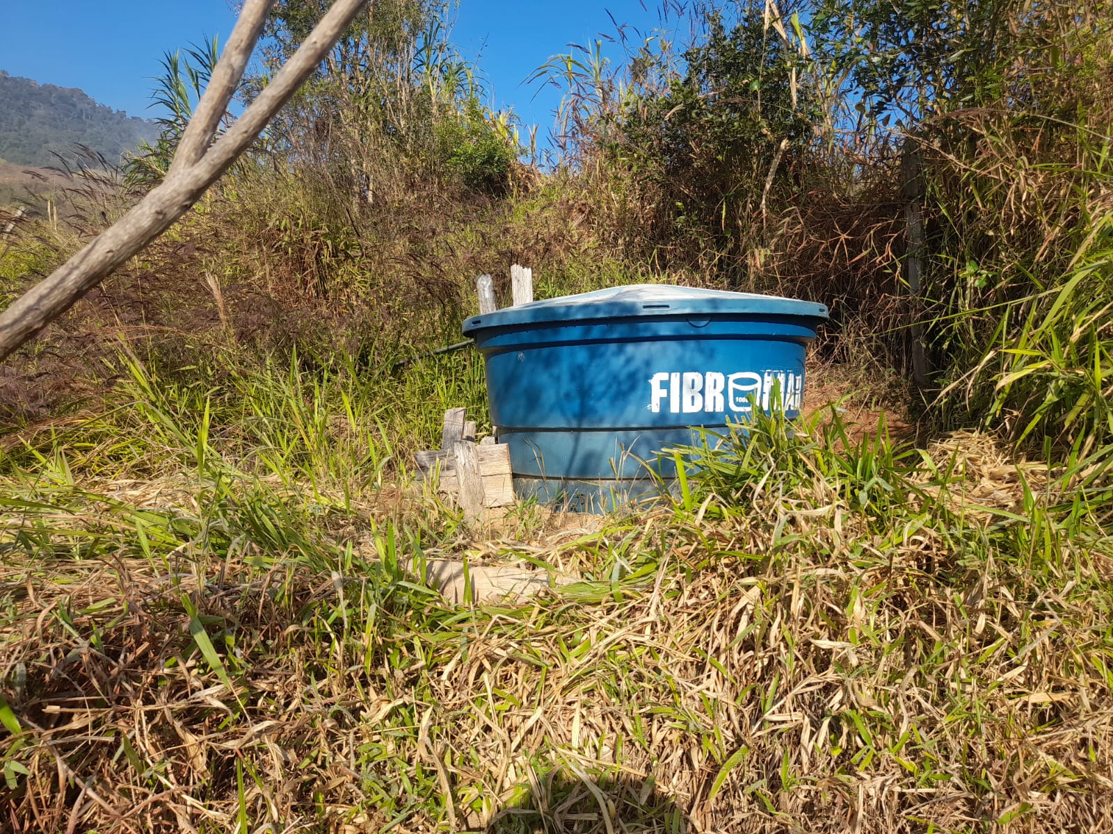 inbound1867404326997394597