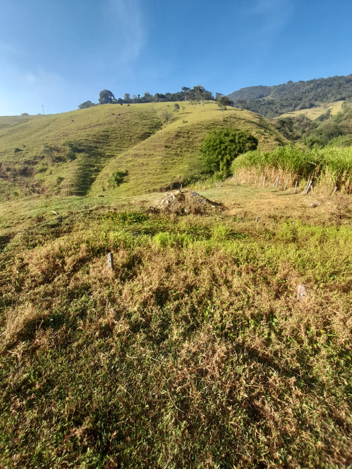 inbound1989807700902256590