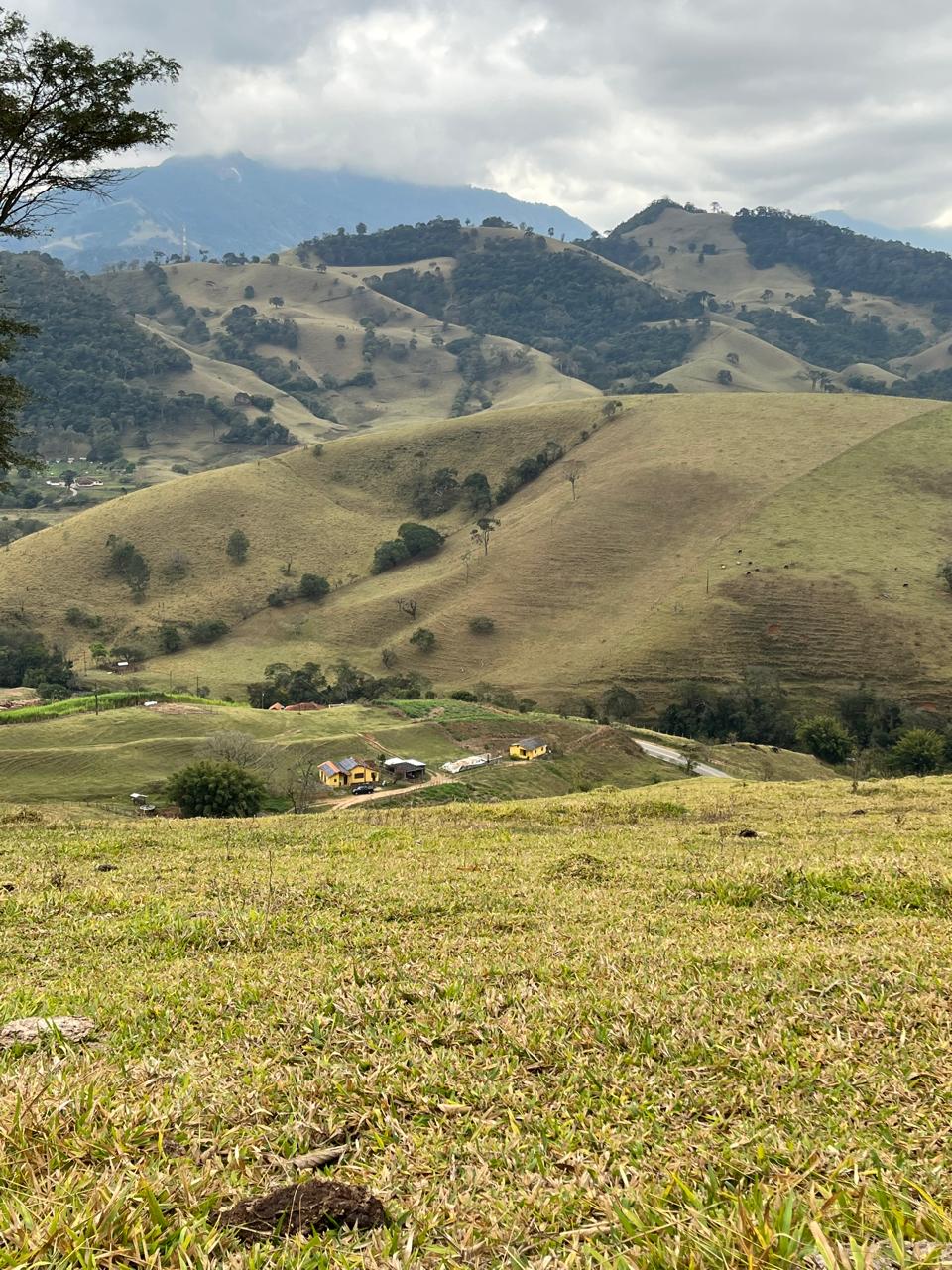 inbound2609706730950515705