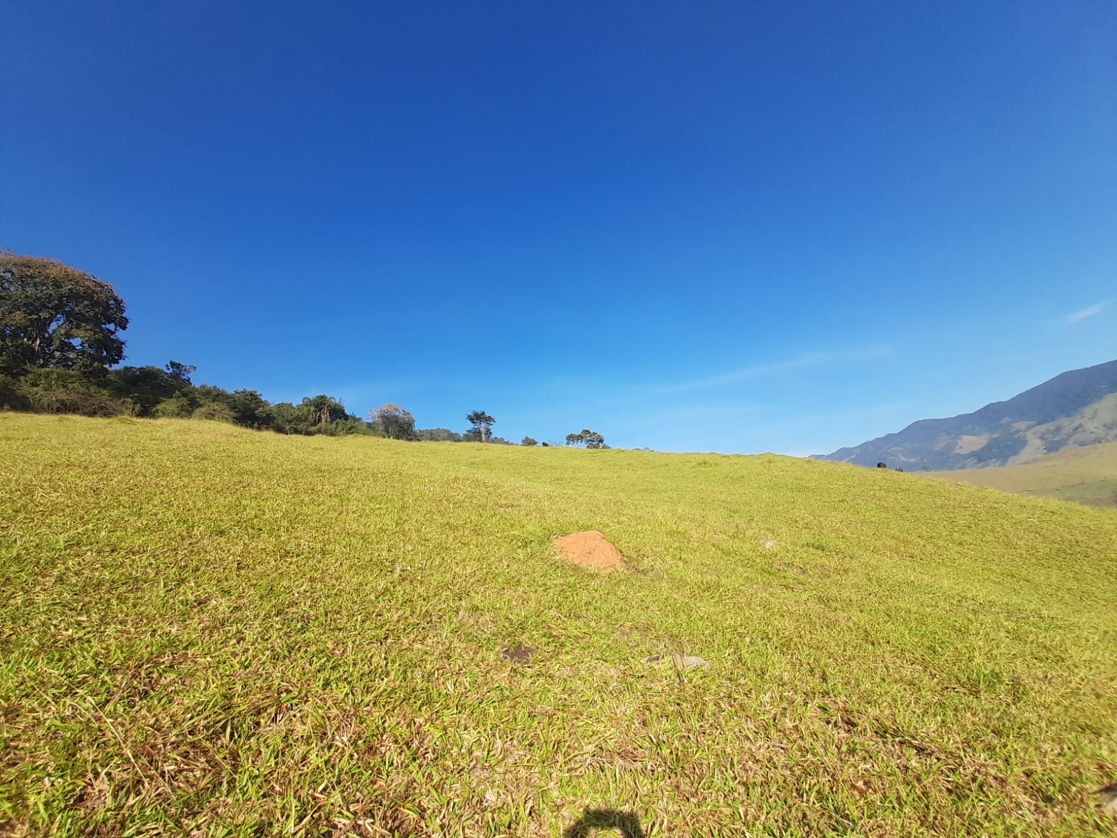 inbound3053386952222354211