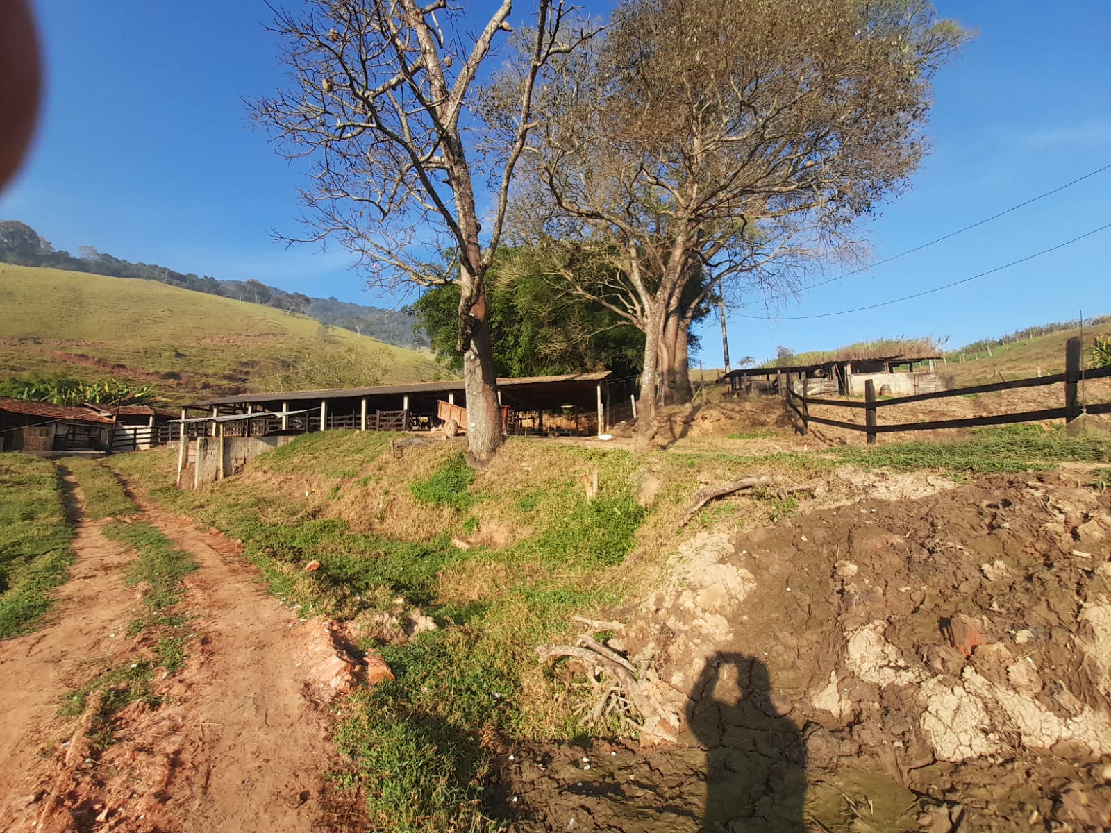 inbound3236407279609966541