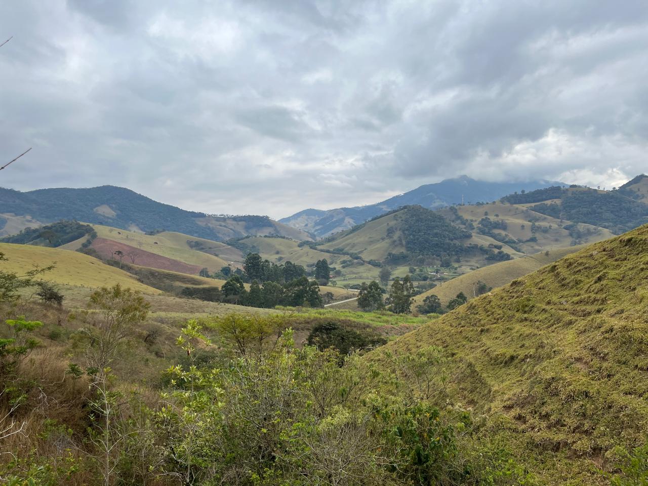 inbound3524265224881221246