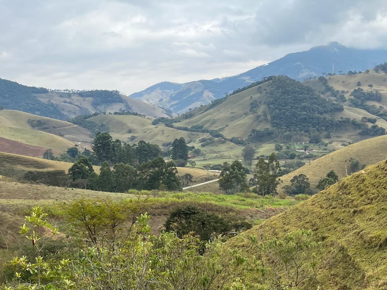 inbound3525020077389600968