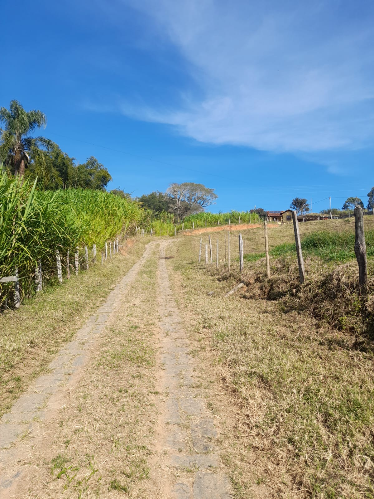 inbound3566807668179352640