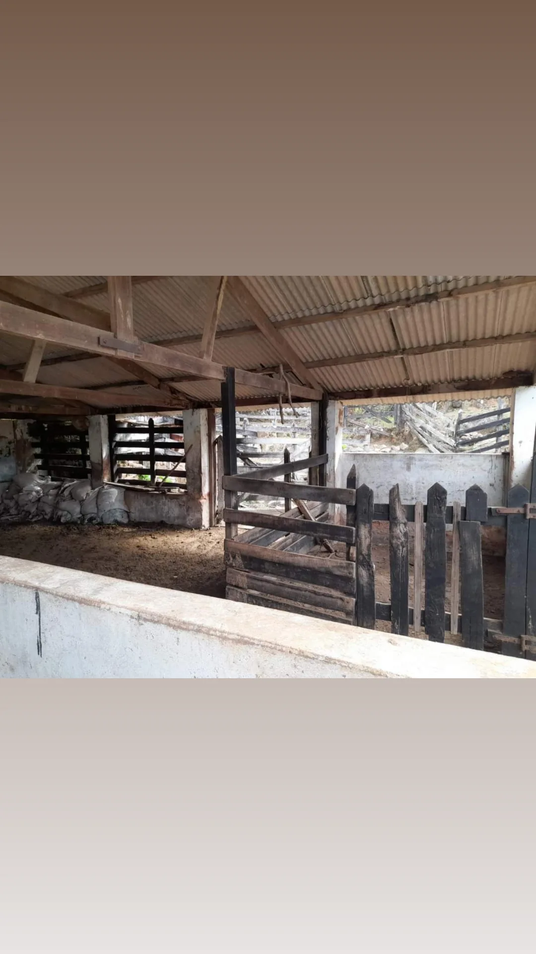 inbound3653335772065136517