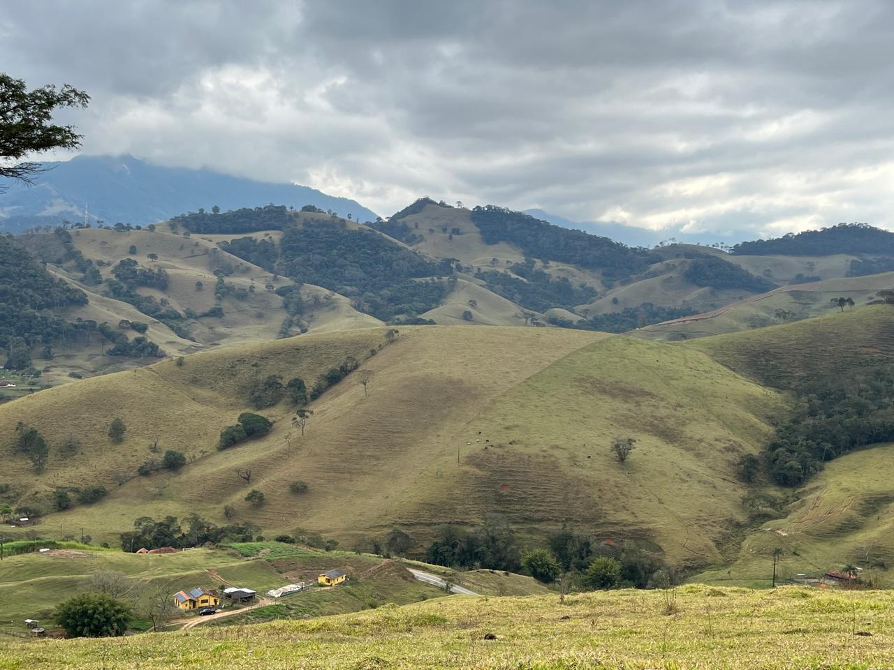 inbound3688148765436646792