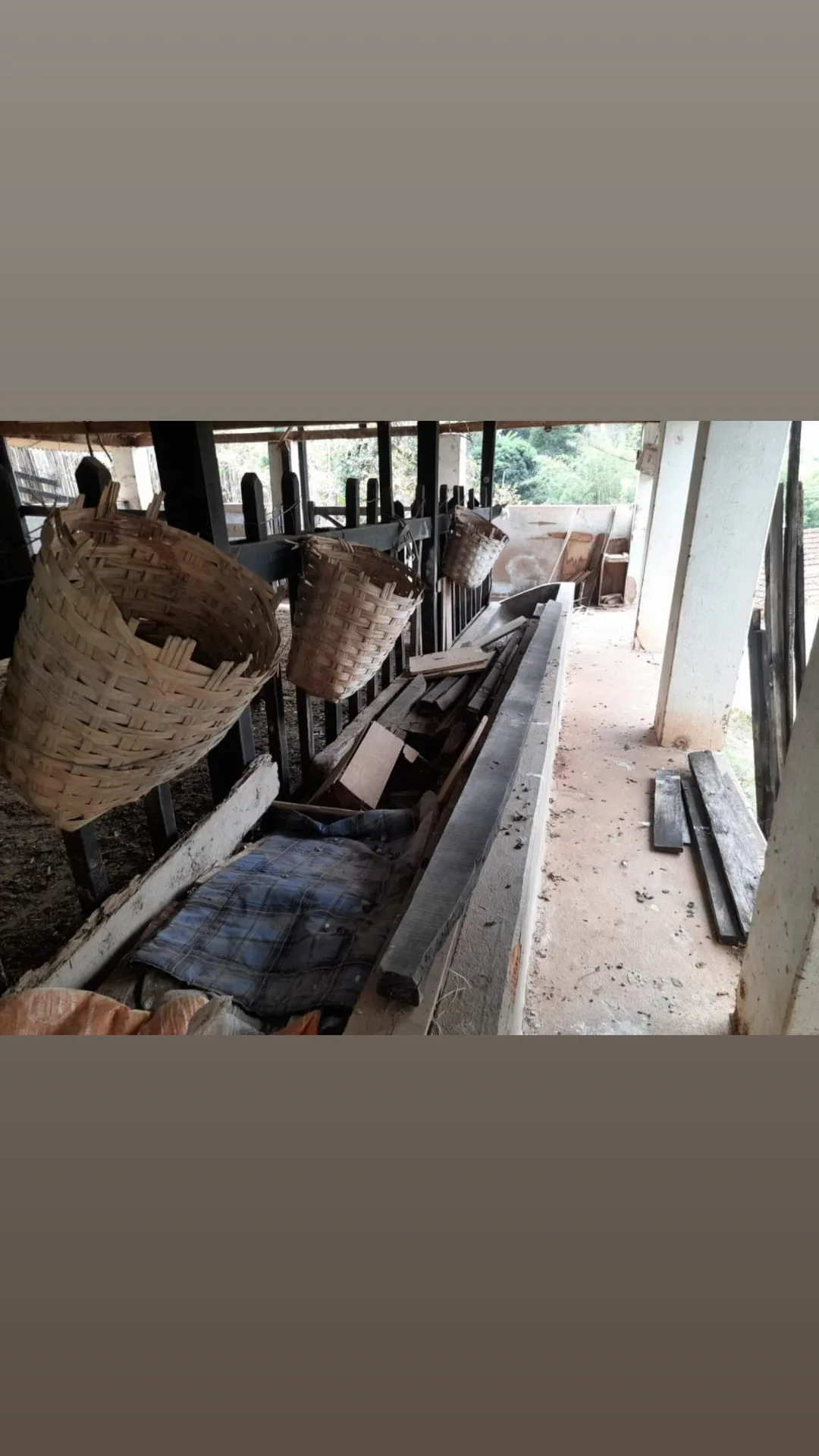 inbound5324422514476781370