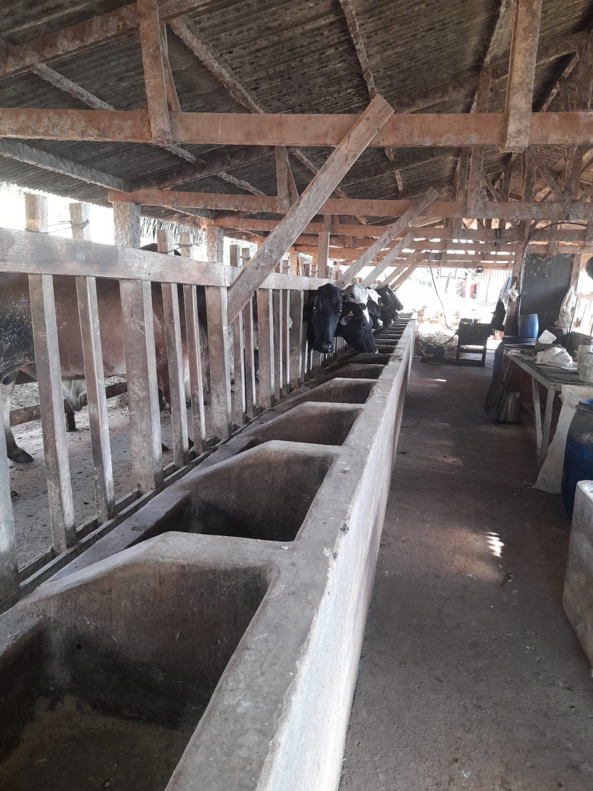 inbound5575499031199602050