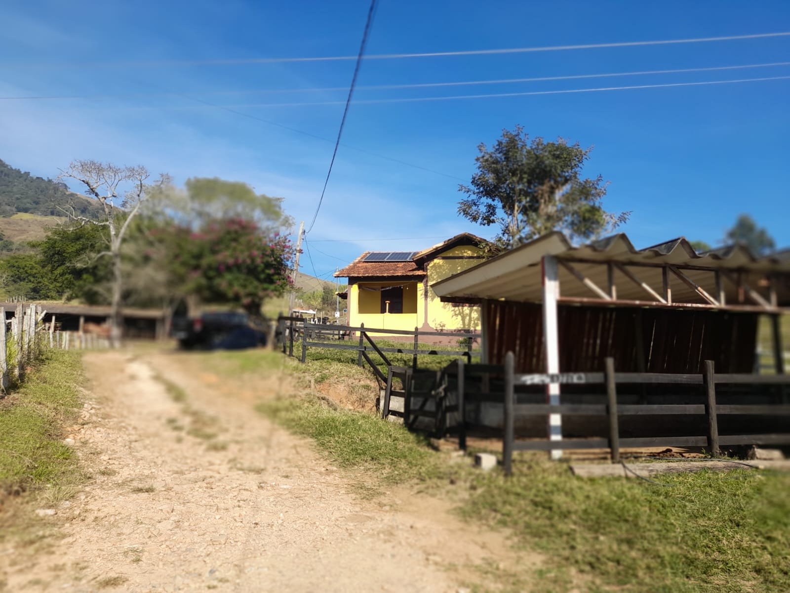 inbound5902692228886286186