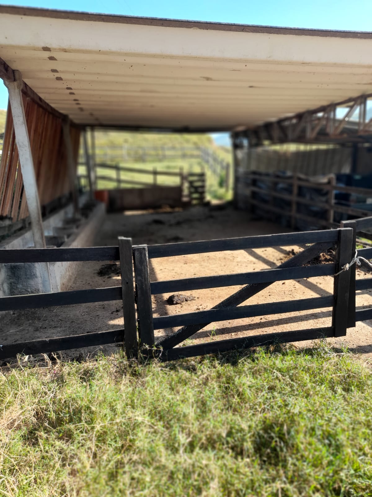 inbound7130215225044869547