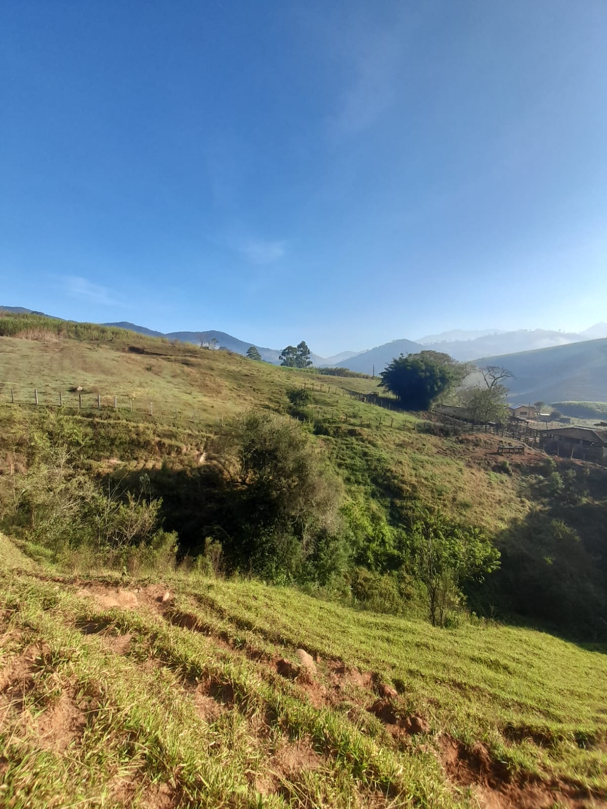 inbound8316696934542062276