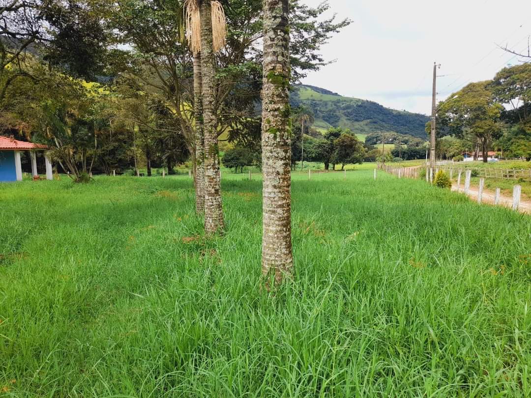 inbound8453600436845315273