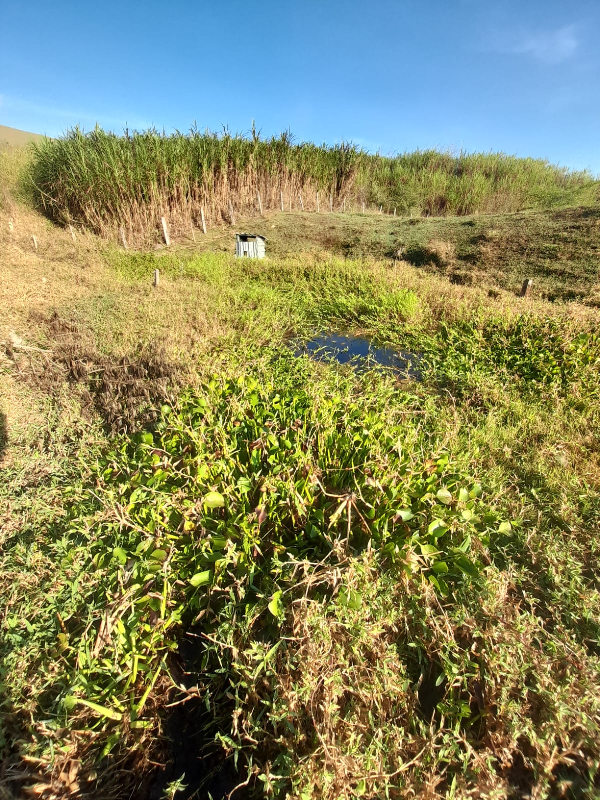 inbound8680641100892901