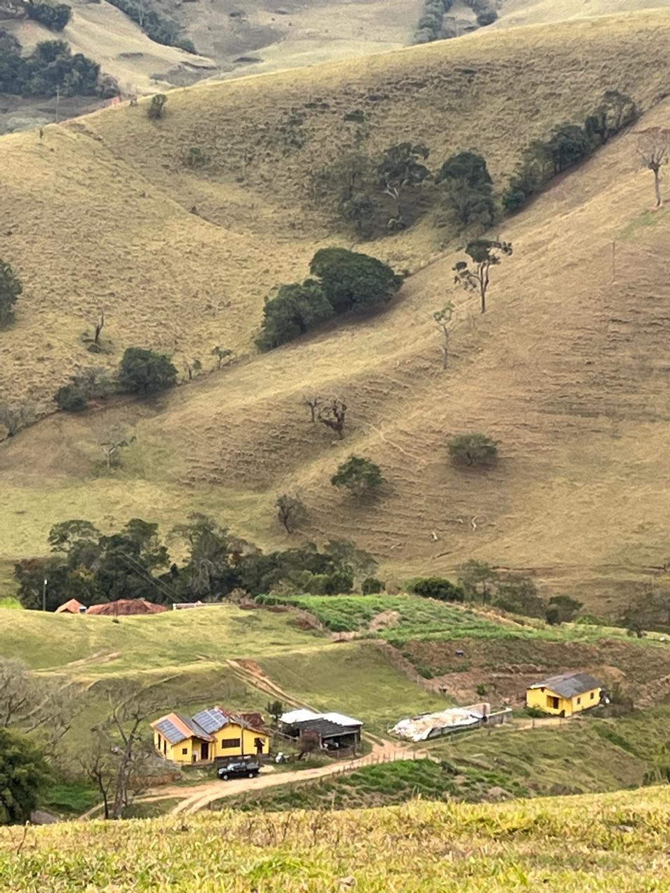 inbound9111835036605287954