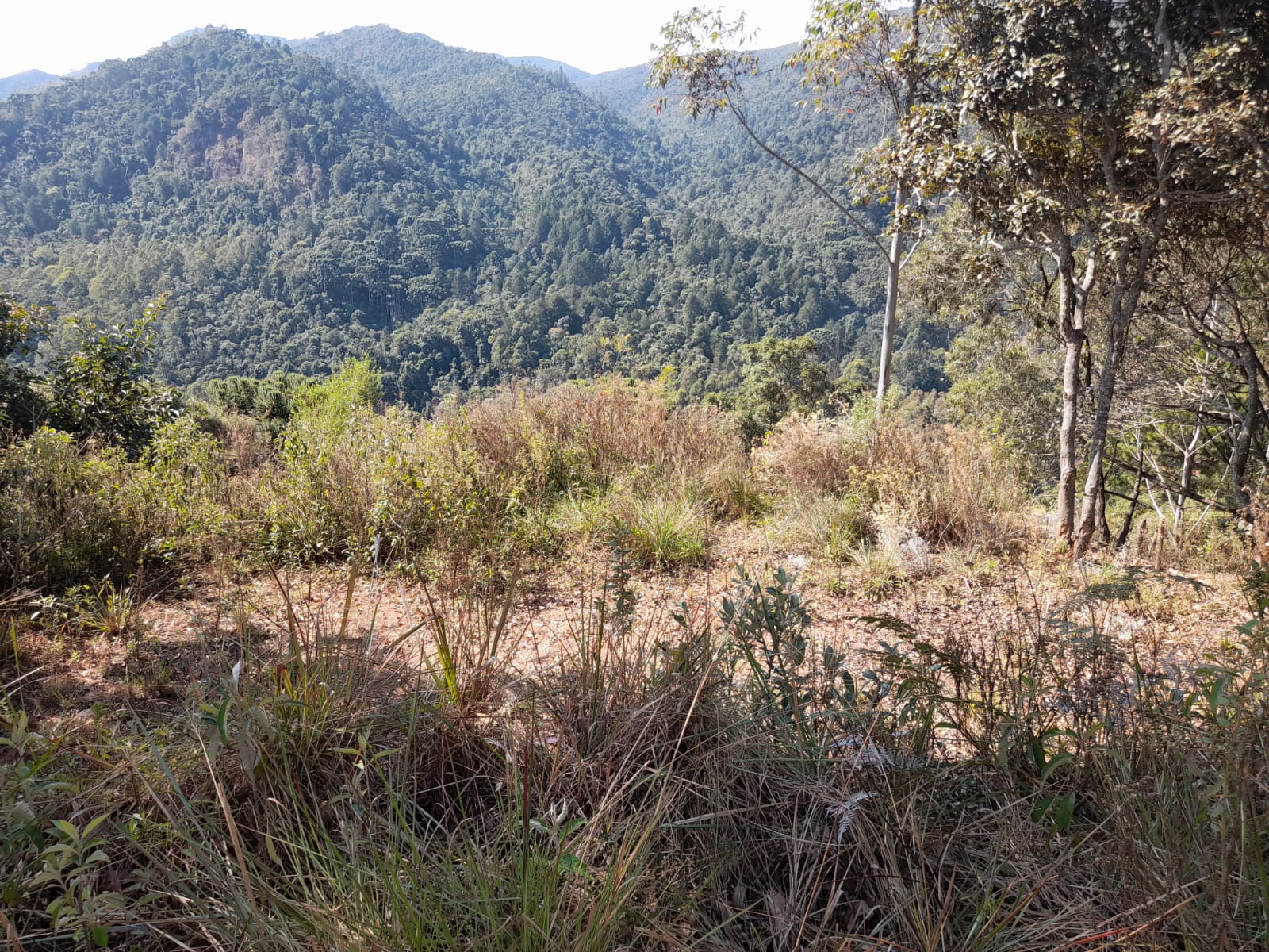 inbound1969392146259868938