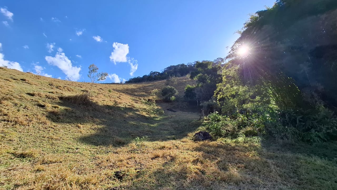 inbound1976340156796292727