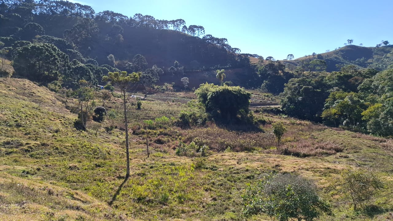 inbound2132953547490579470