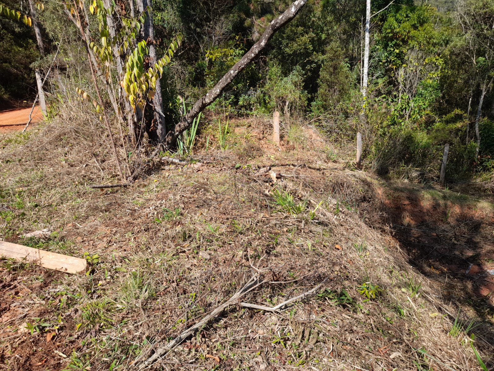 inbound2298725233611718751