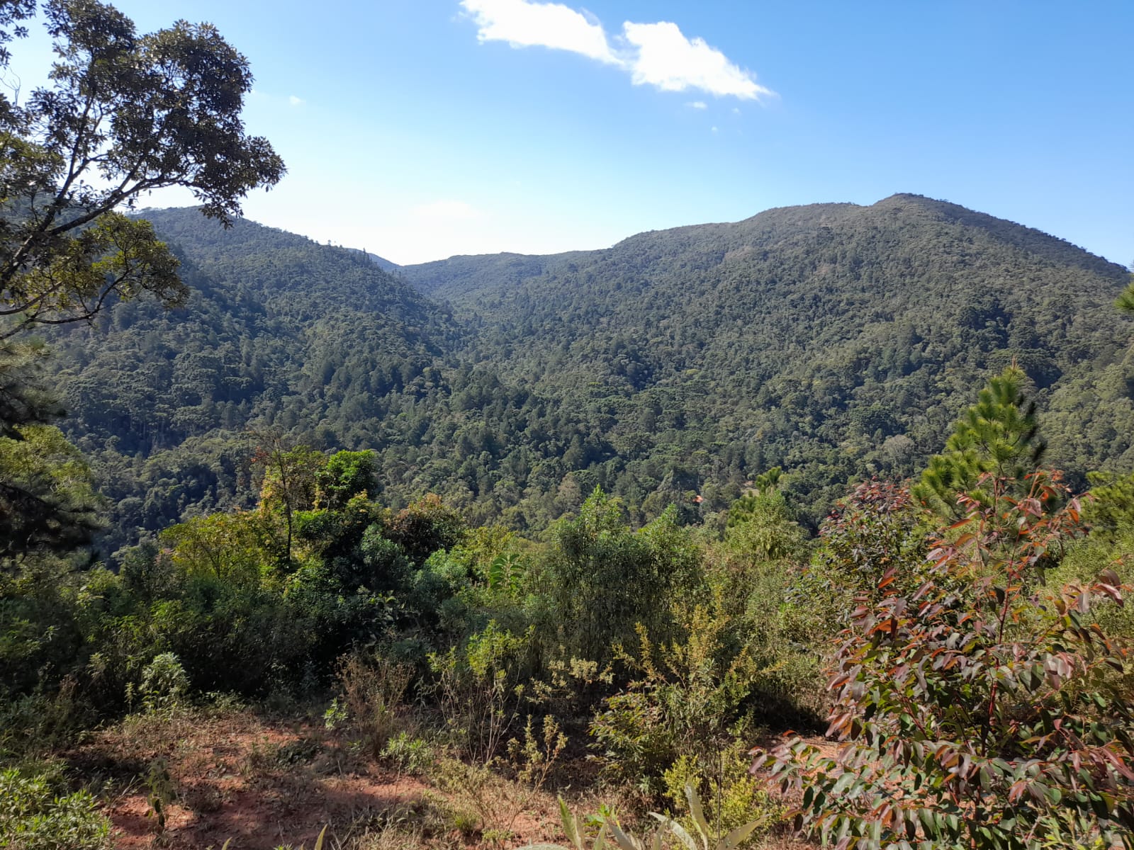 inbound2924473721734039677