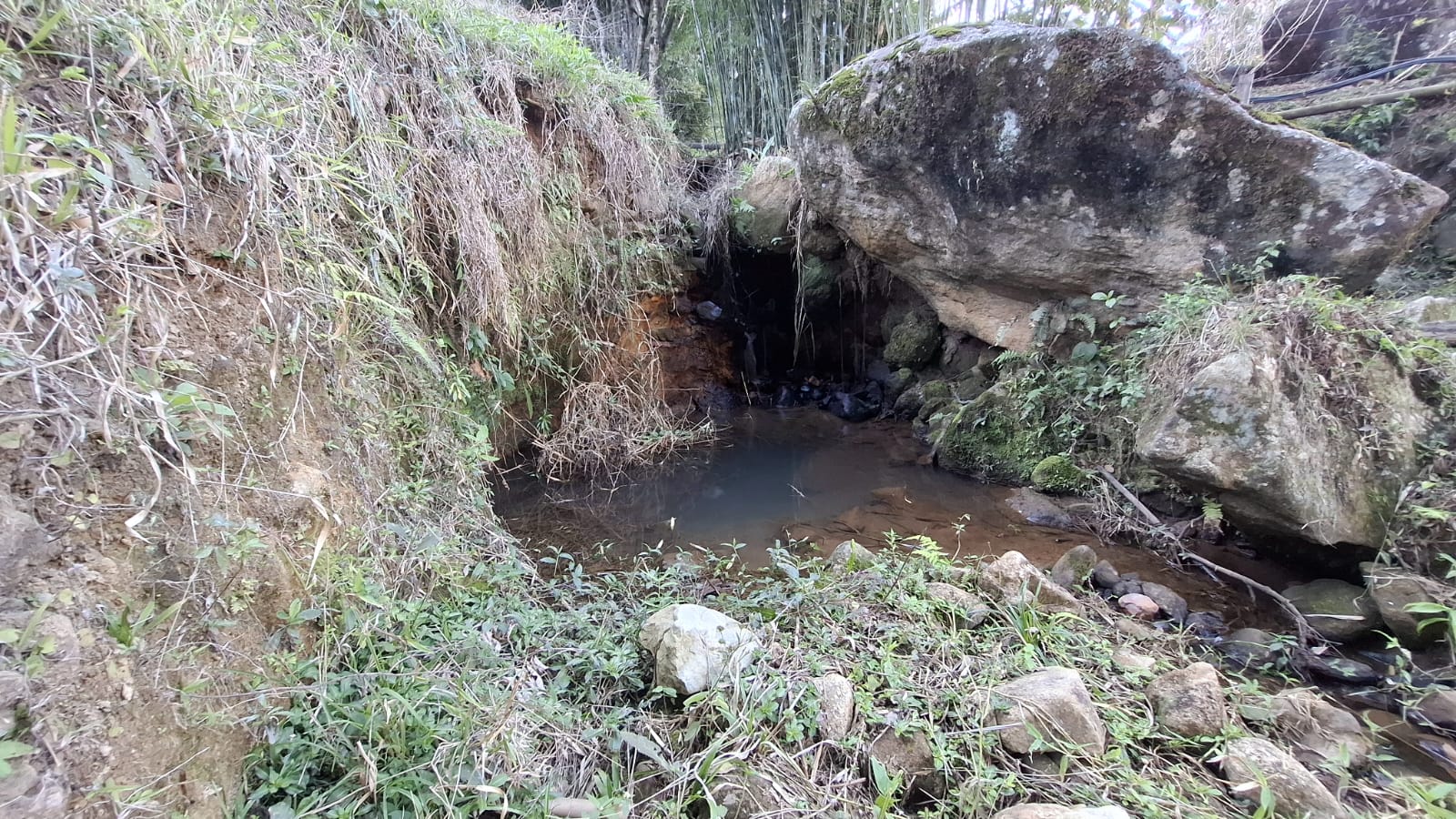 inbound3433911107831266588