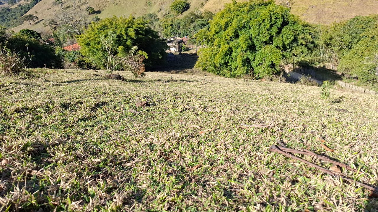 inbound3625714611869868973