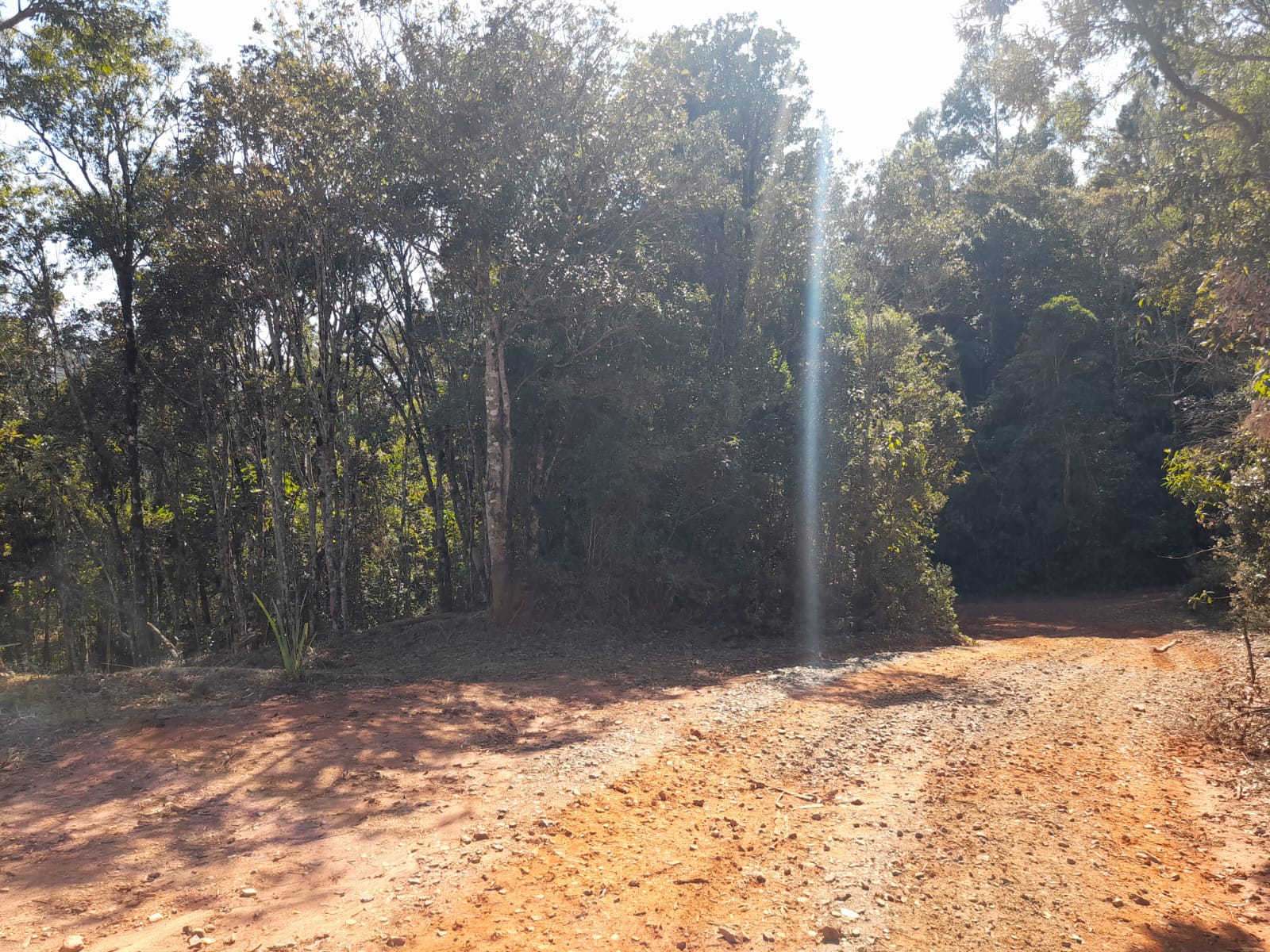 inbound4339753656576645660