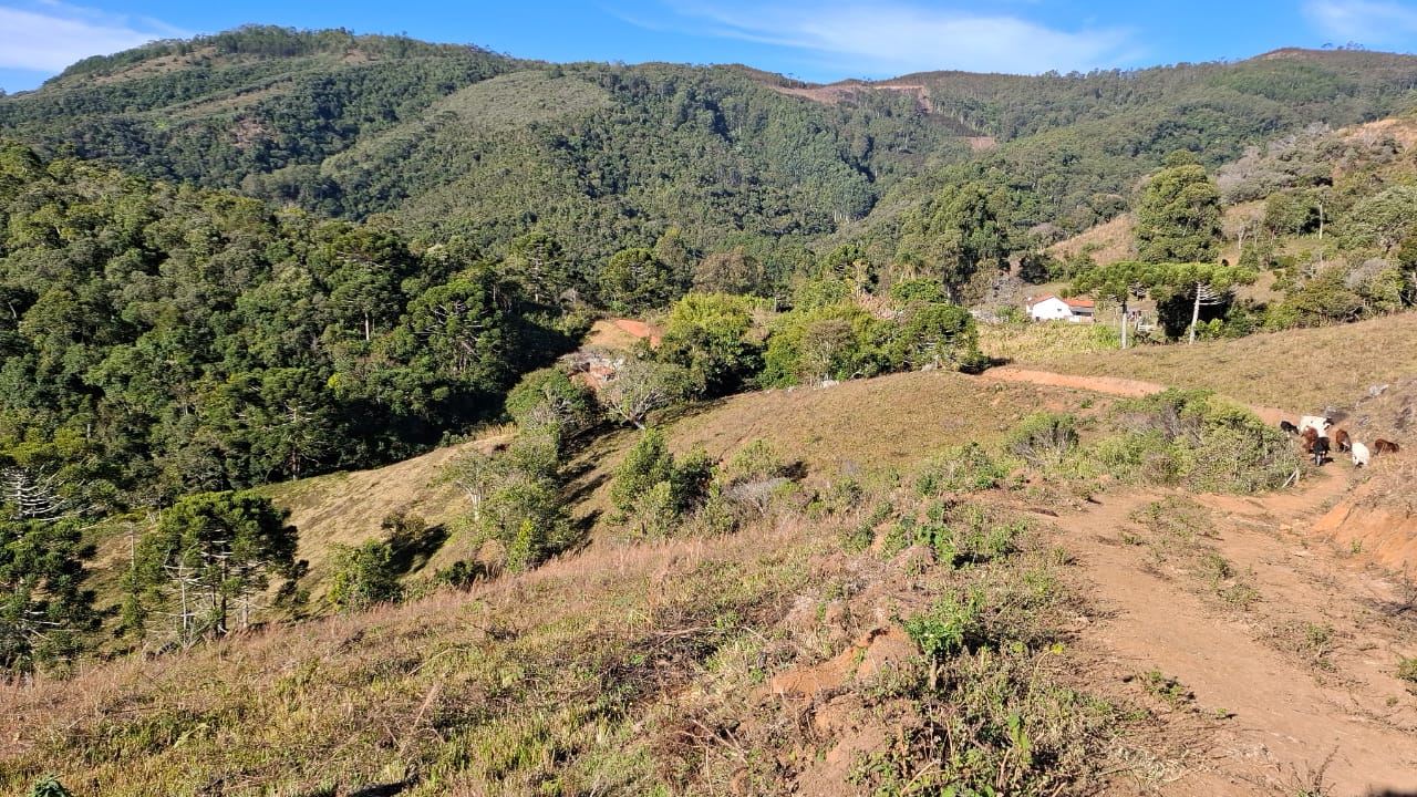 inbound4424887910779266138