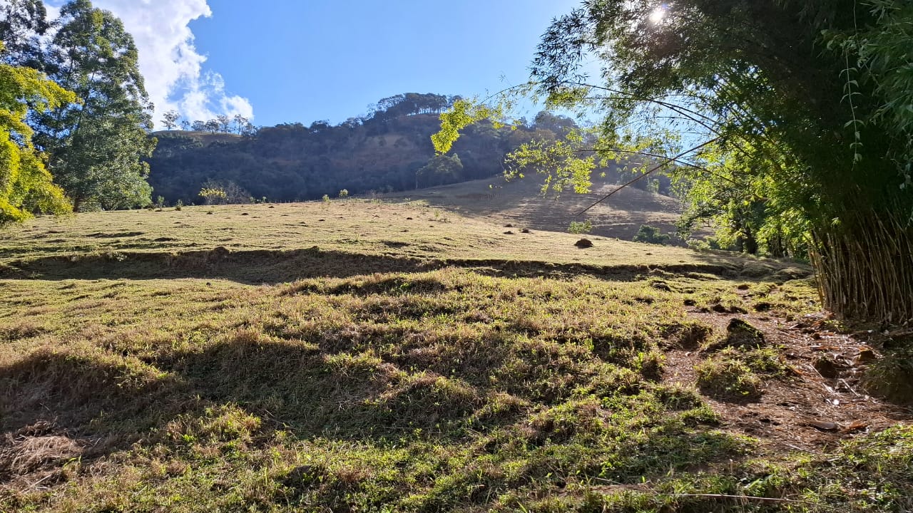 inbound4551066852522256201