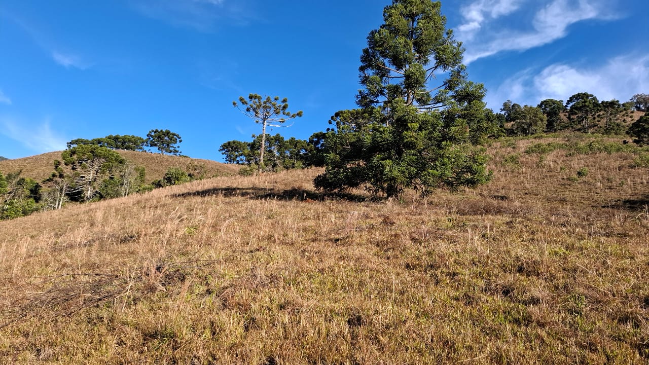 inbound4614160221416517992