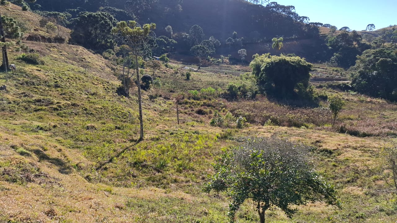 inbound4763791725665414291