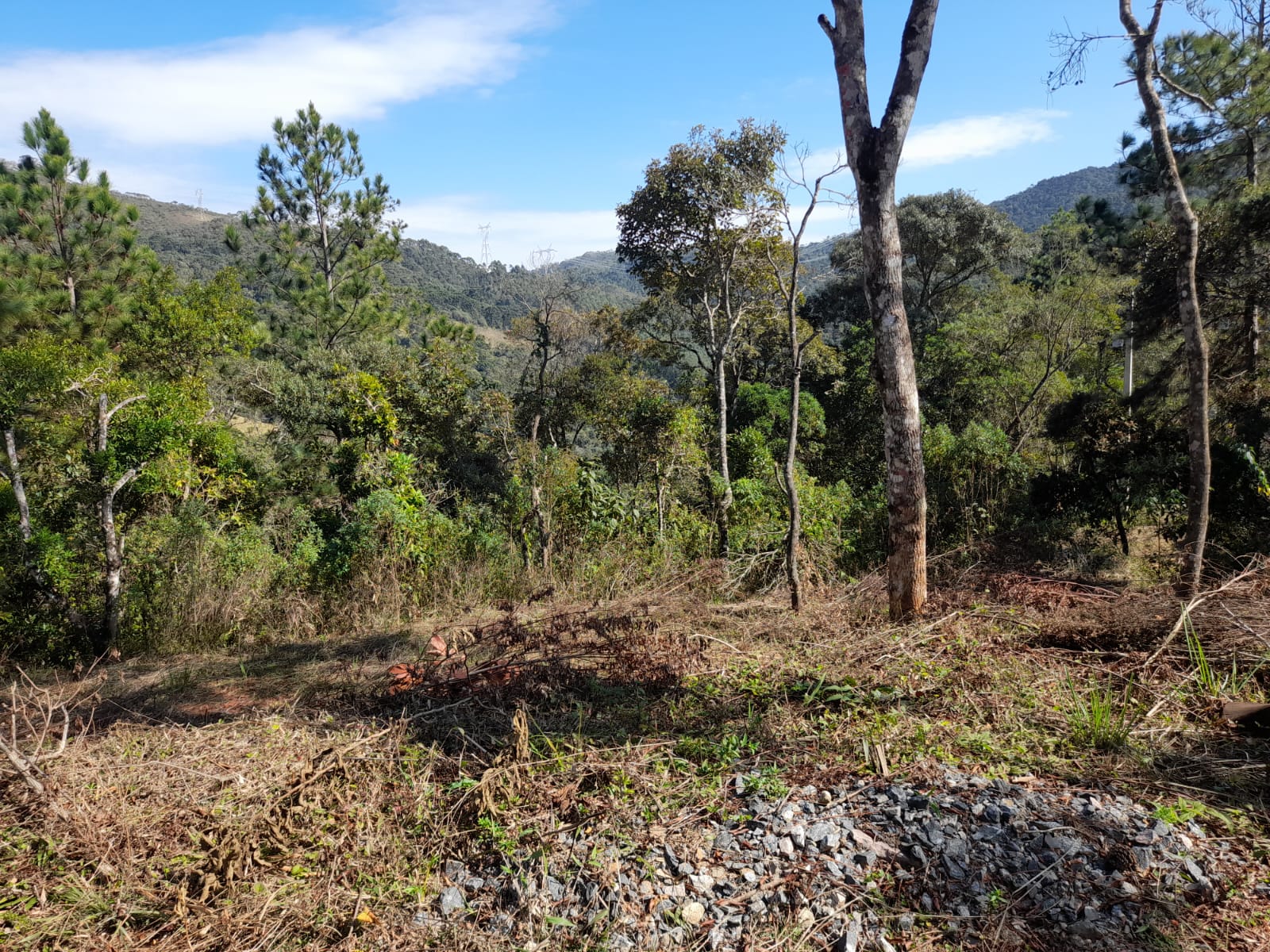 inbound4803697244893306260