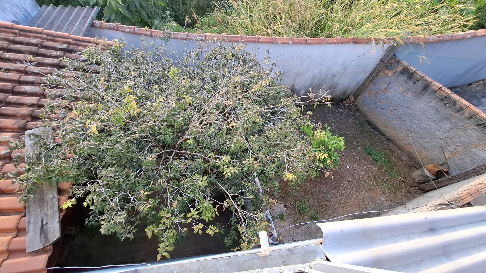 inbound4949645492102217180