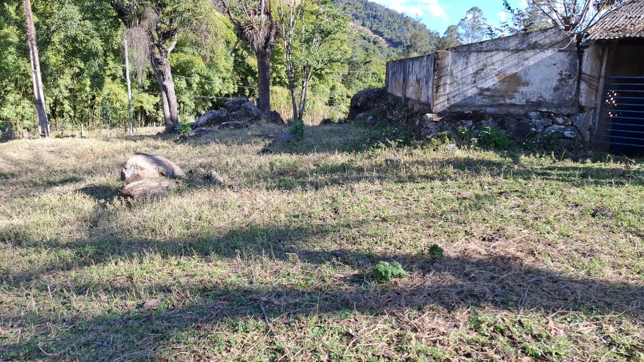 inbound502502289539157956