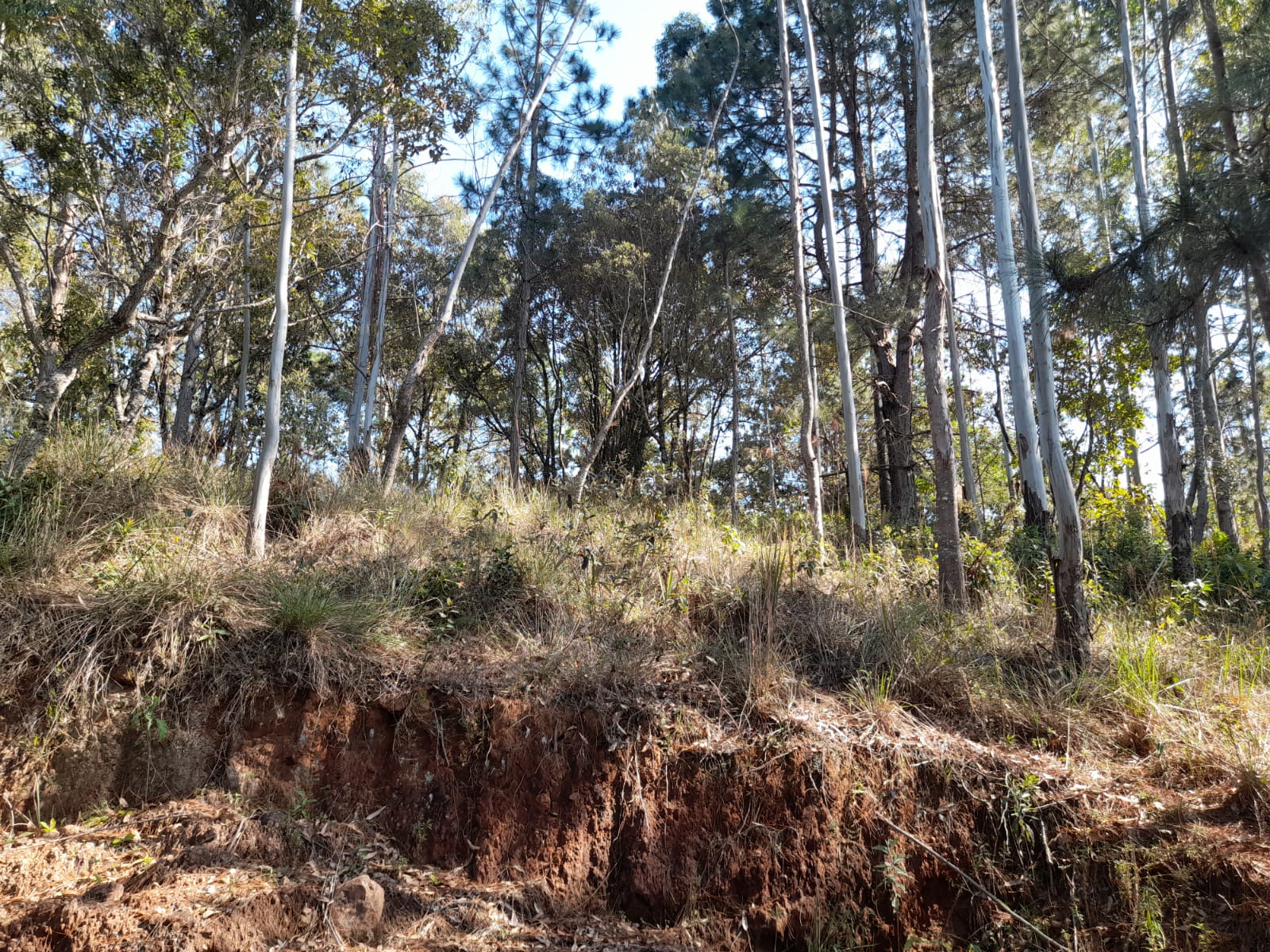 inbound5099588431509072814