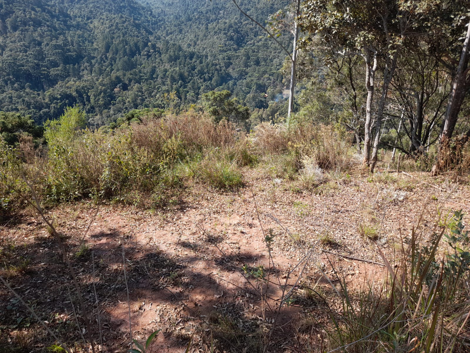 inbound5680558669239482152