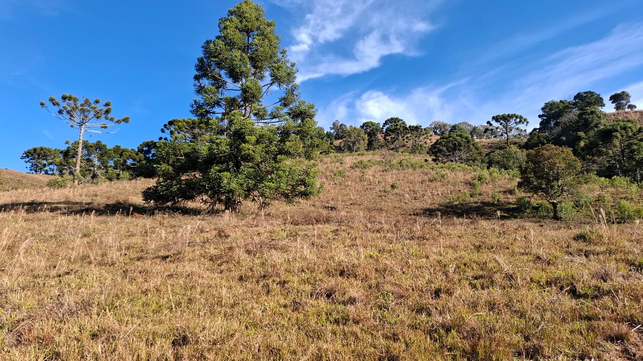 inbound5715816675663103074