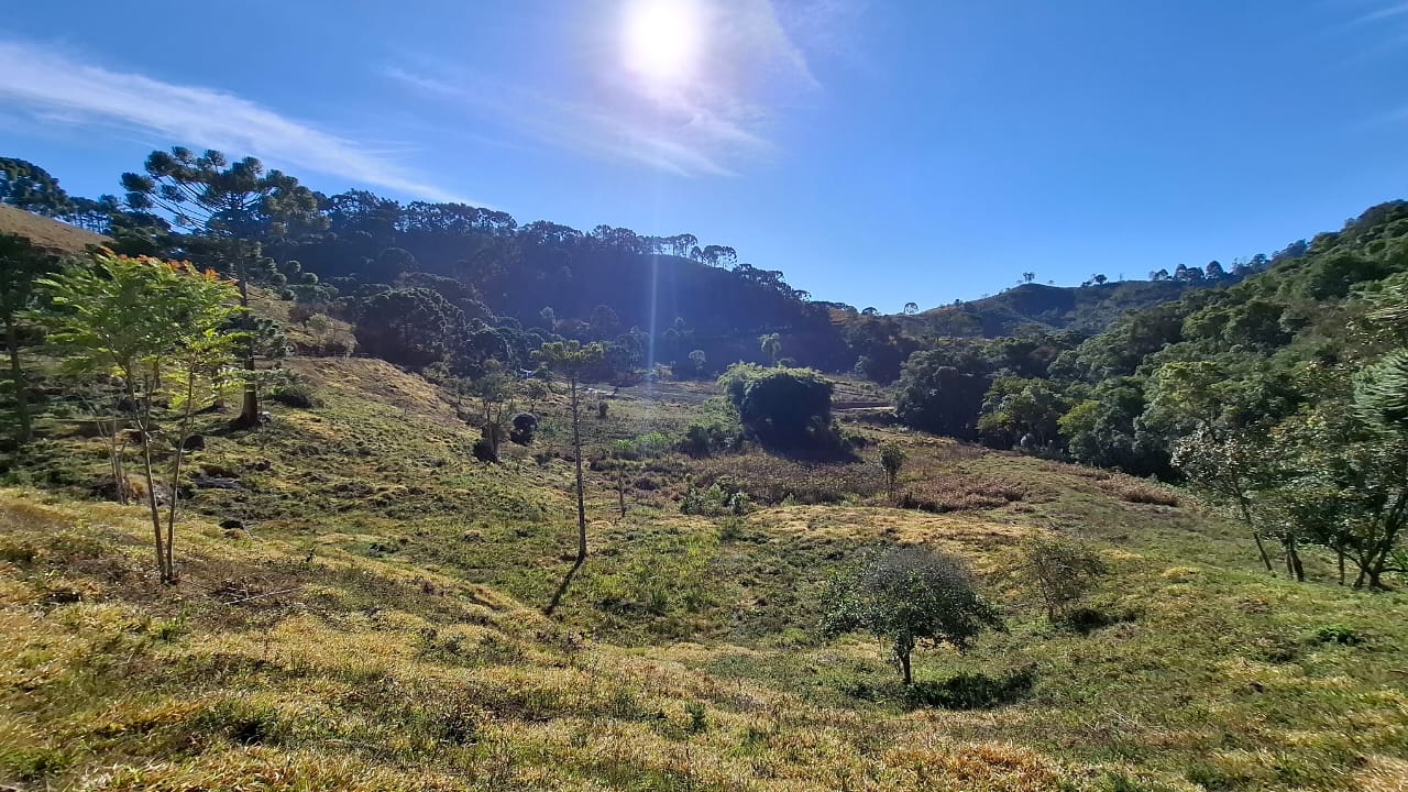 inbound5796229691091121053