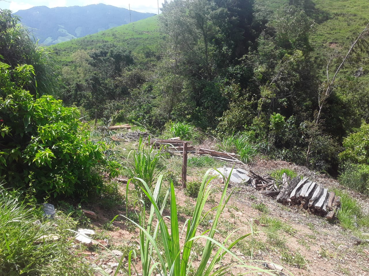 inbound6236334390162453585