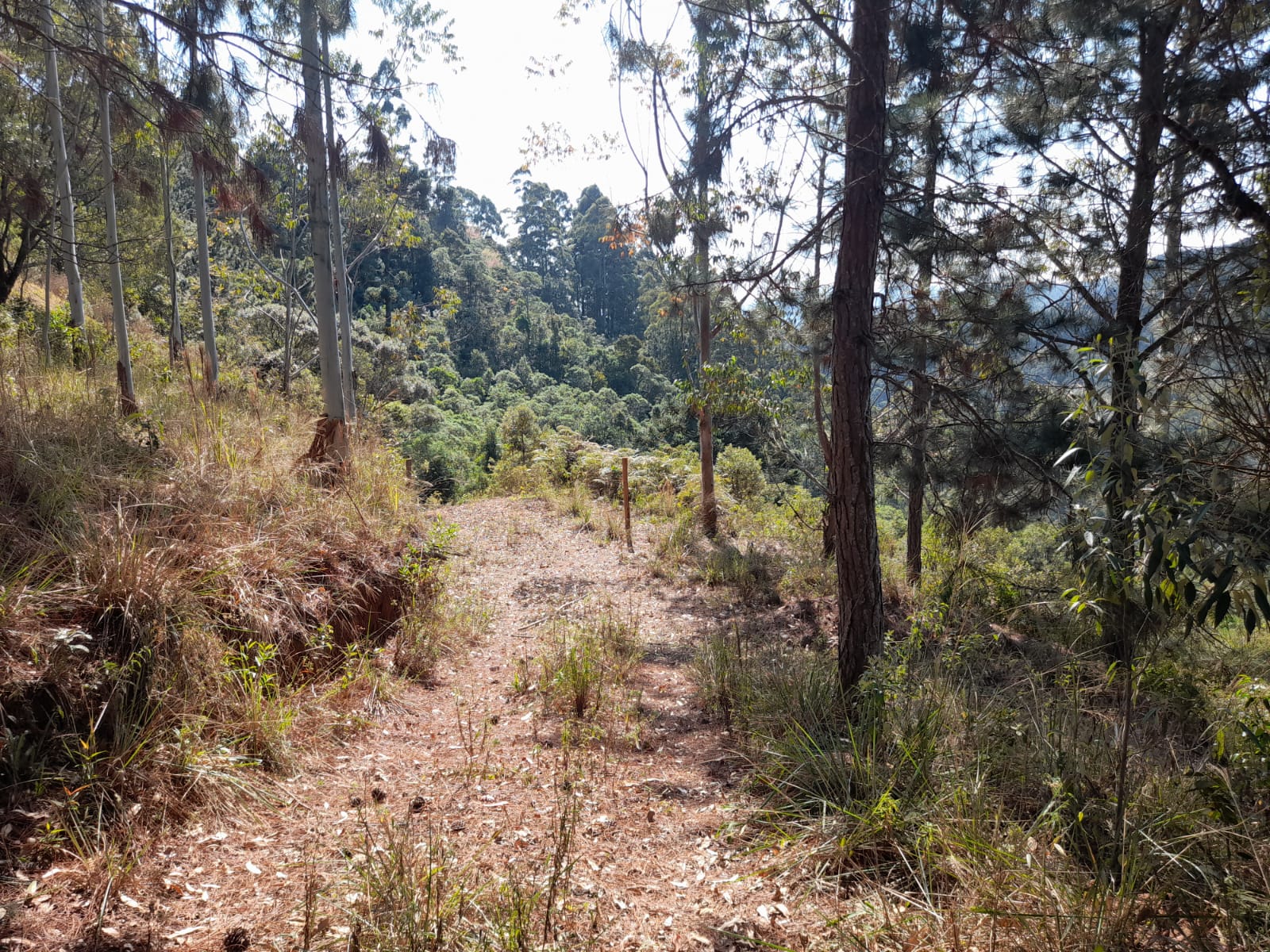 inbound6358242949350389584