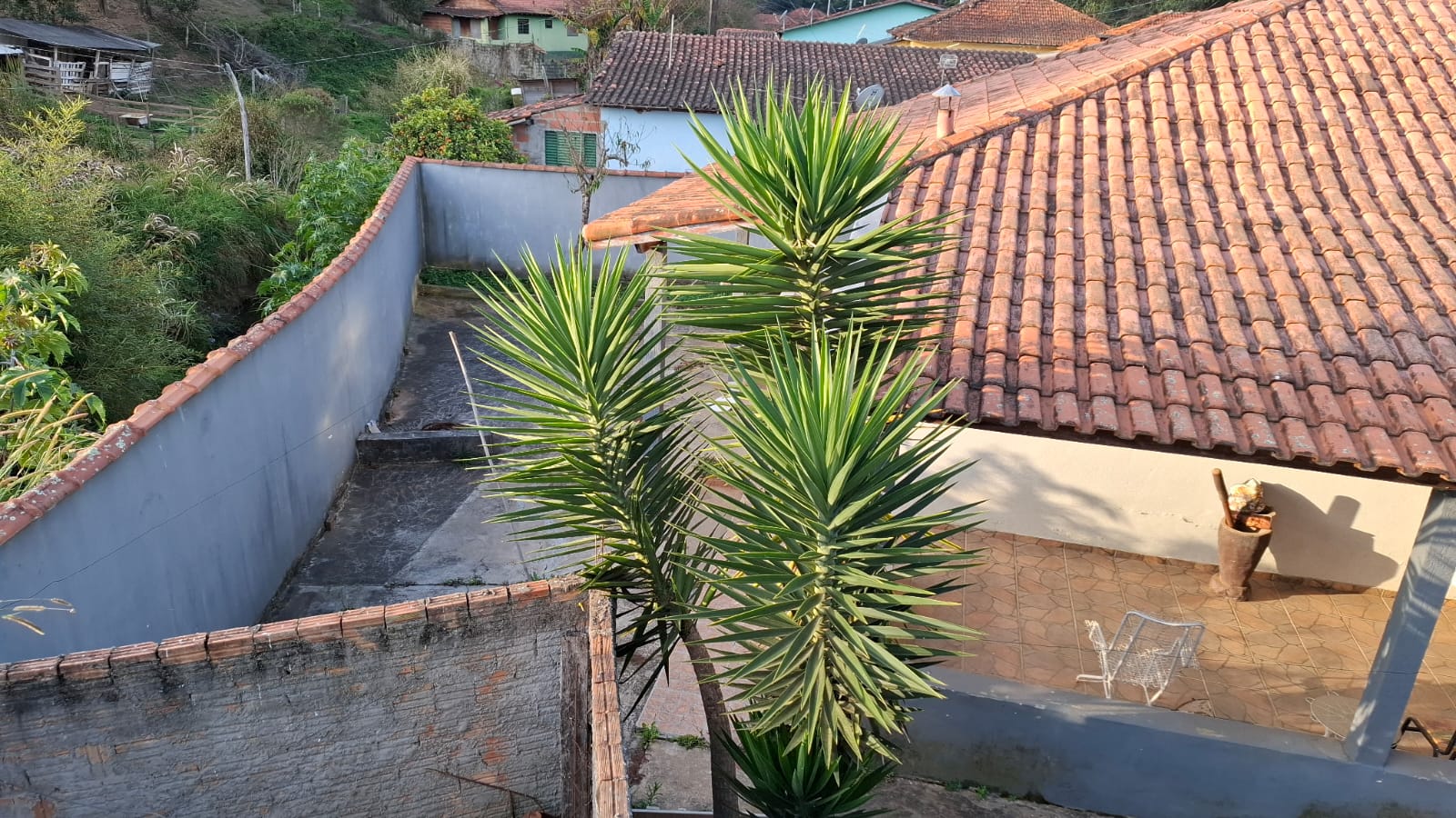 inbound6531417384208883519