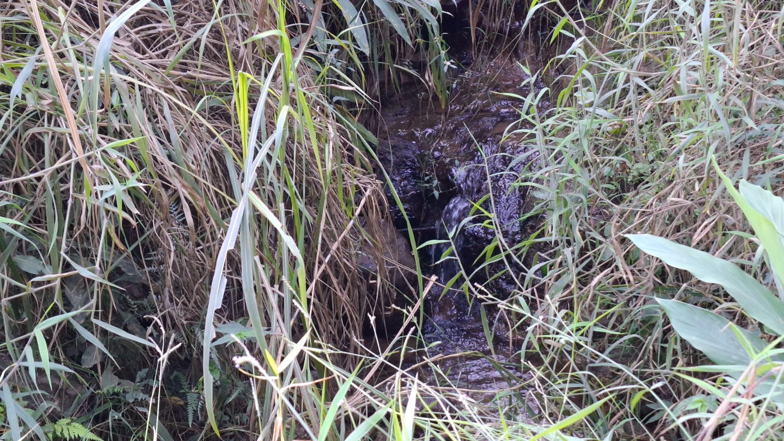 inbound6744736824634243677