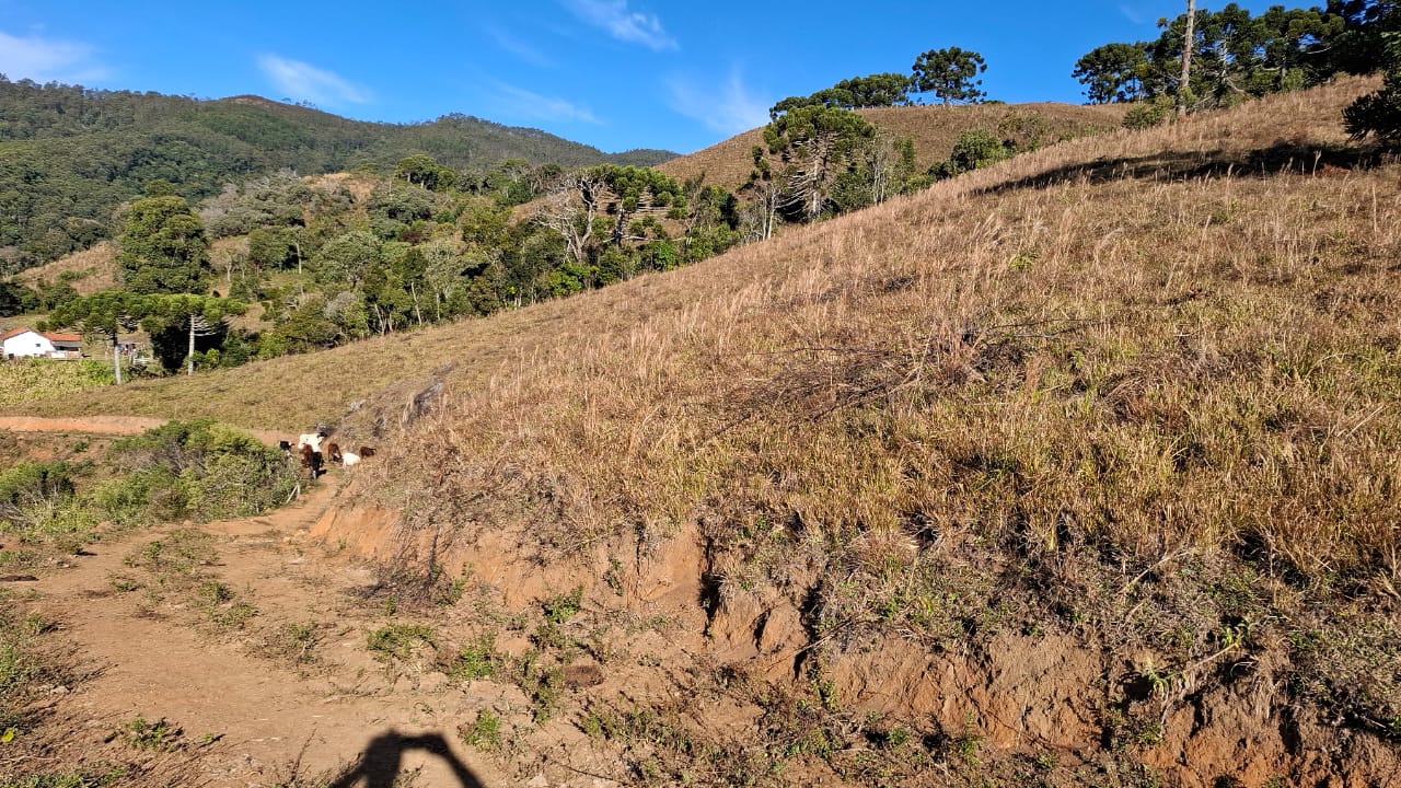 inbound7085581438285763937