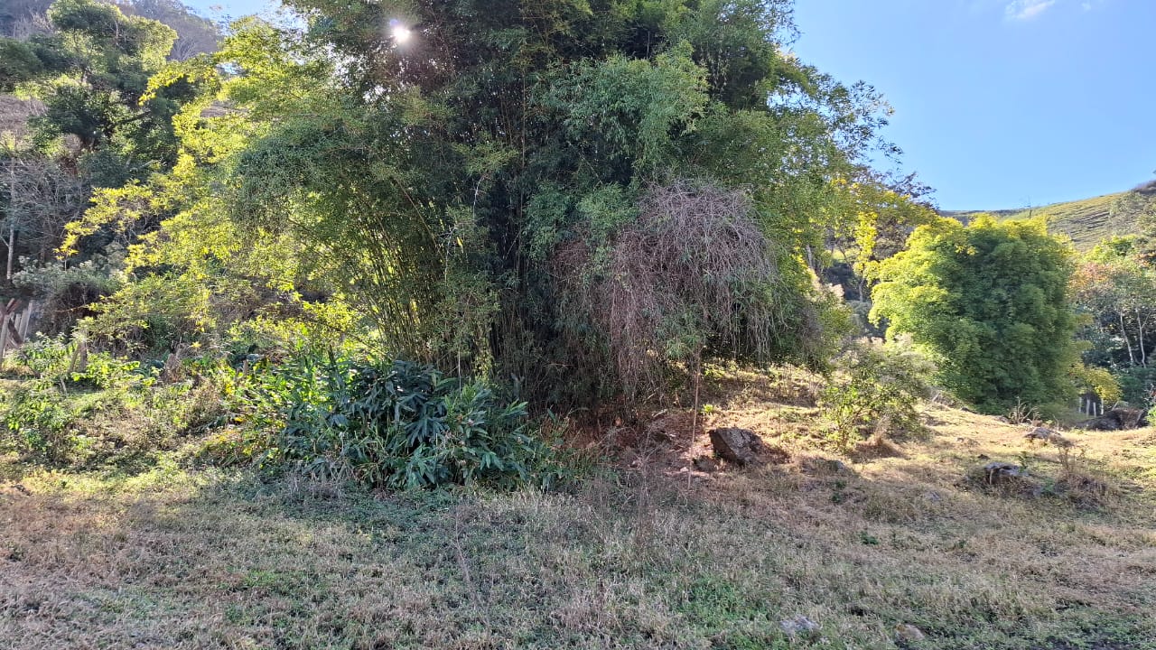 inbound7140049984748432618