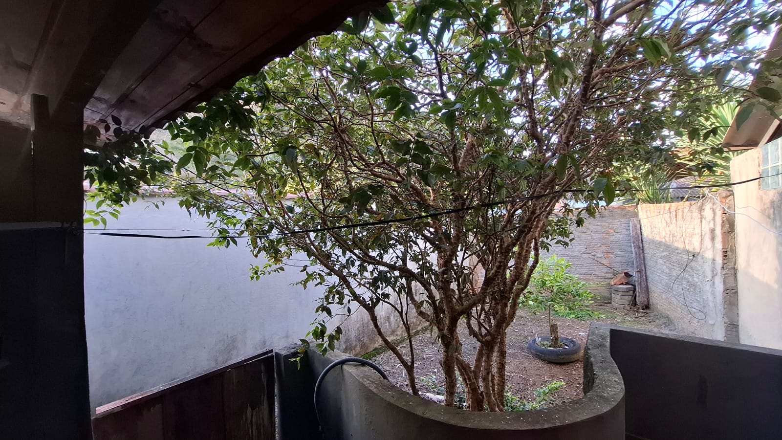 inbound7185882835976126870