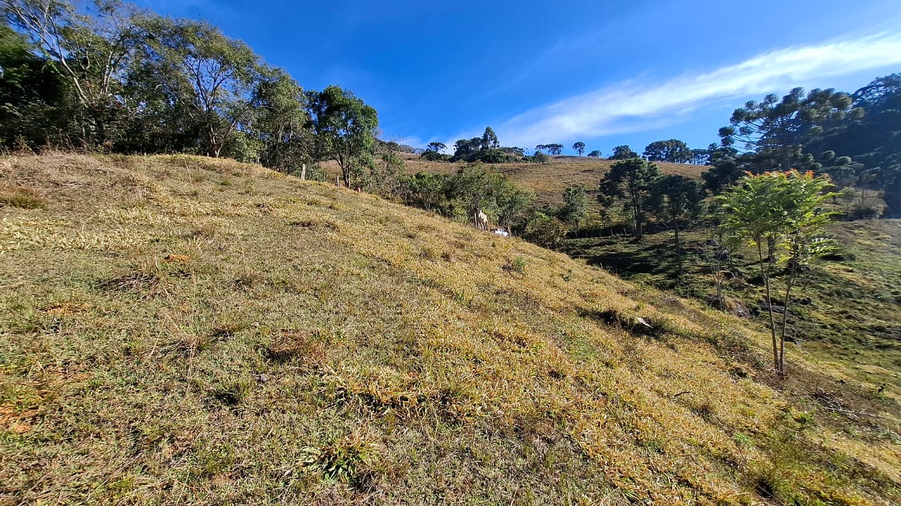 inbound7394691944520311935