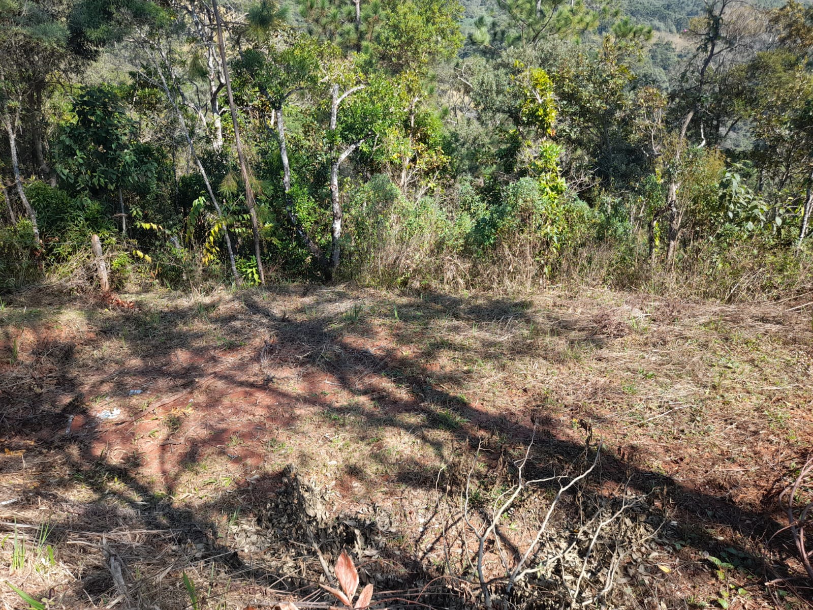 inbound7543847946399842585