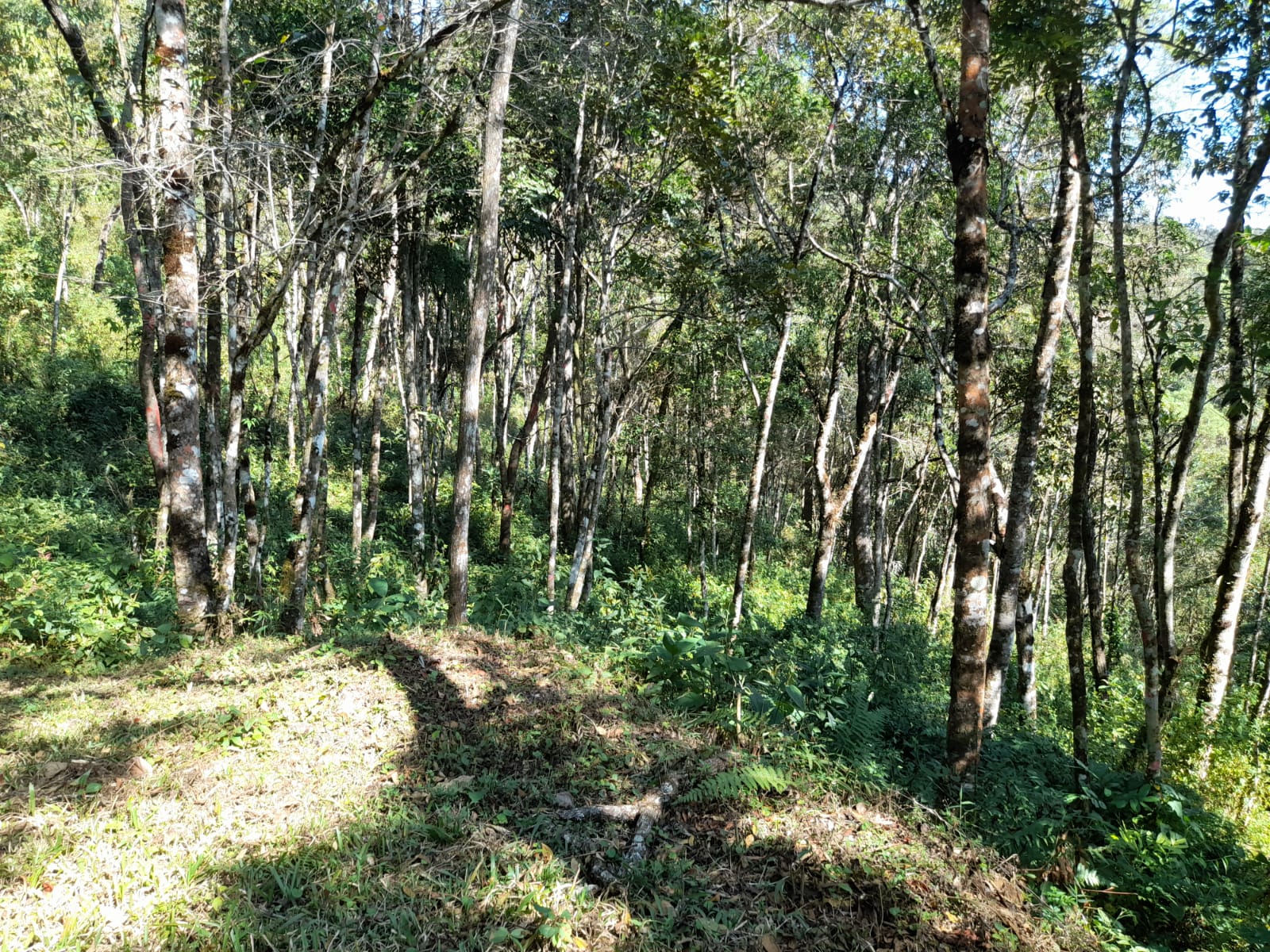 inbound7843718870712962138