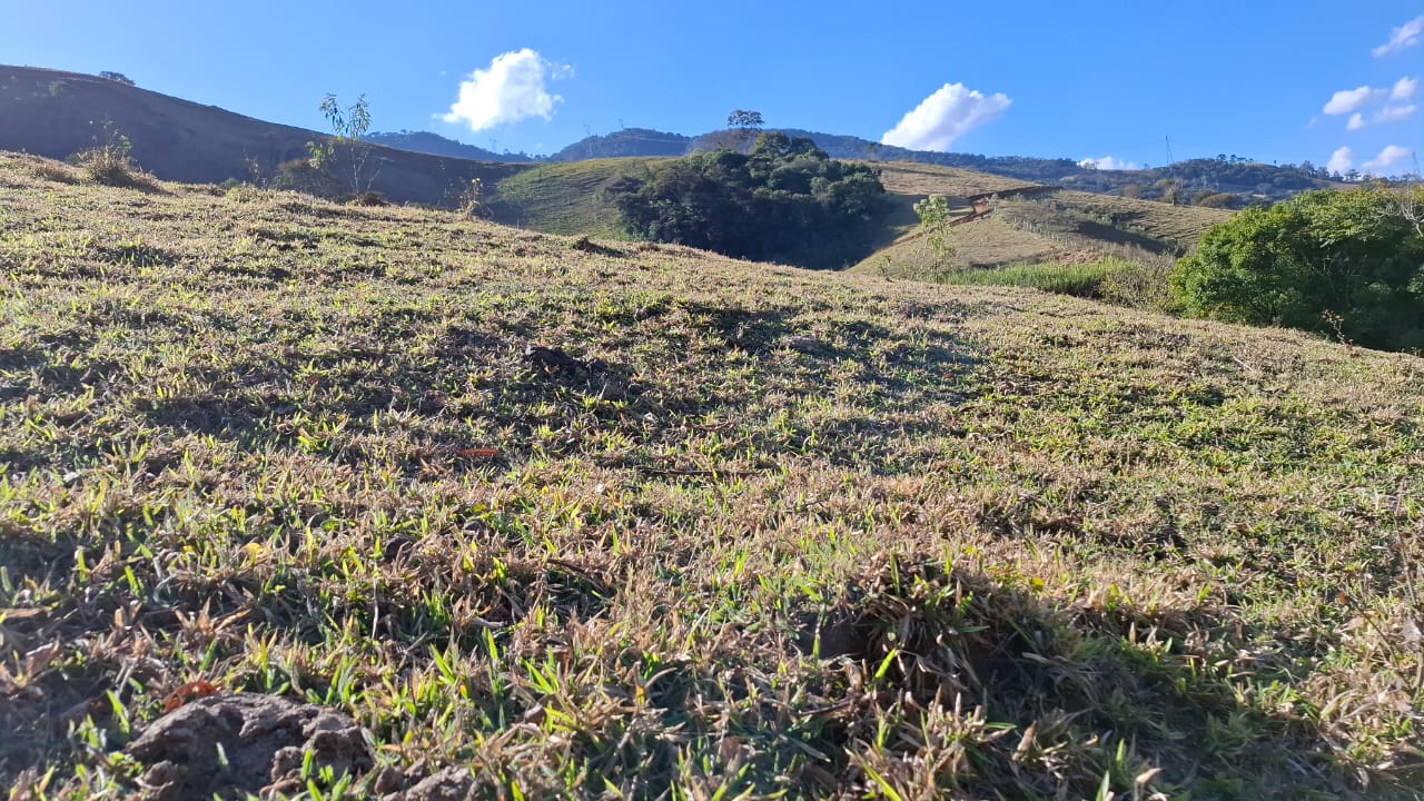 inbound7858378095928439164